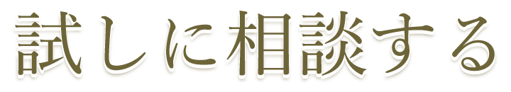 試しに相談する